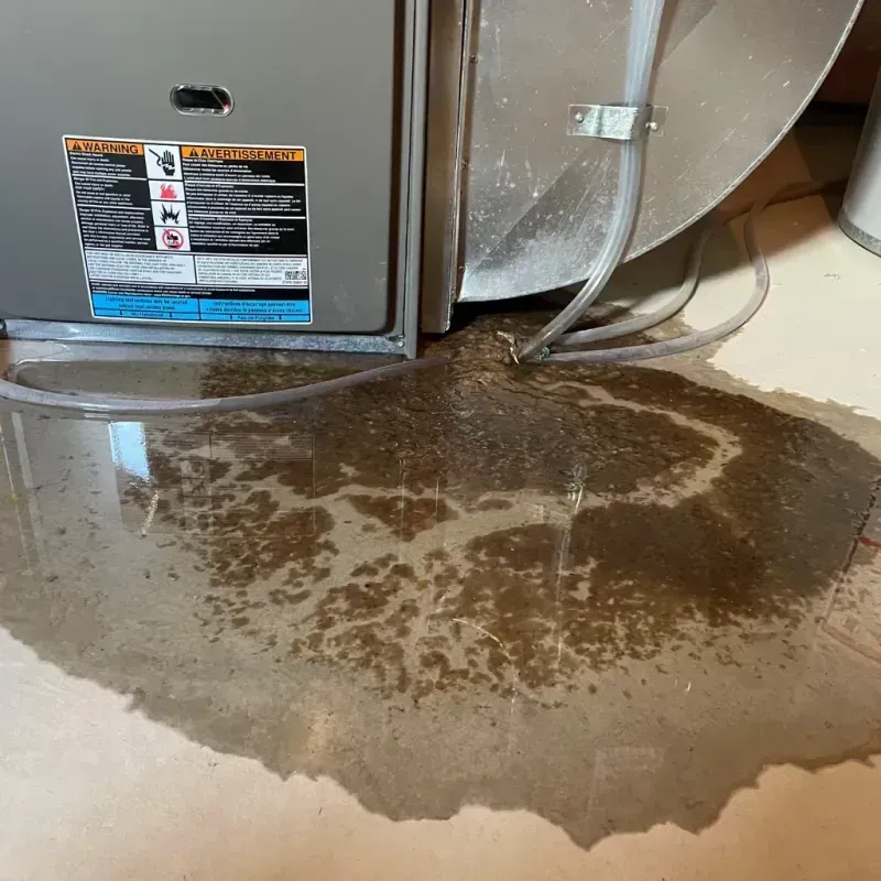 Appliance Leak Cleanup in Tamiami, FL